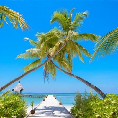 BoB体育app下载手机版官网