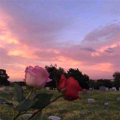 196体育软件下载