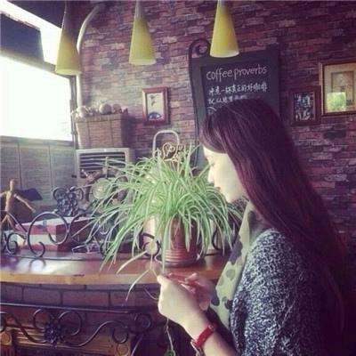 246天天好彩app下载